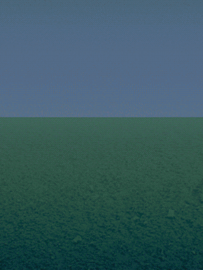 9261638e-c2cb-4e37-a139-e522881aaec6_rwc_493x0x411x548x411