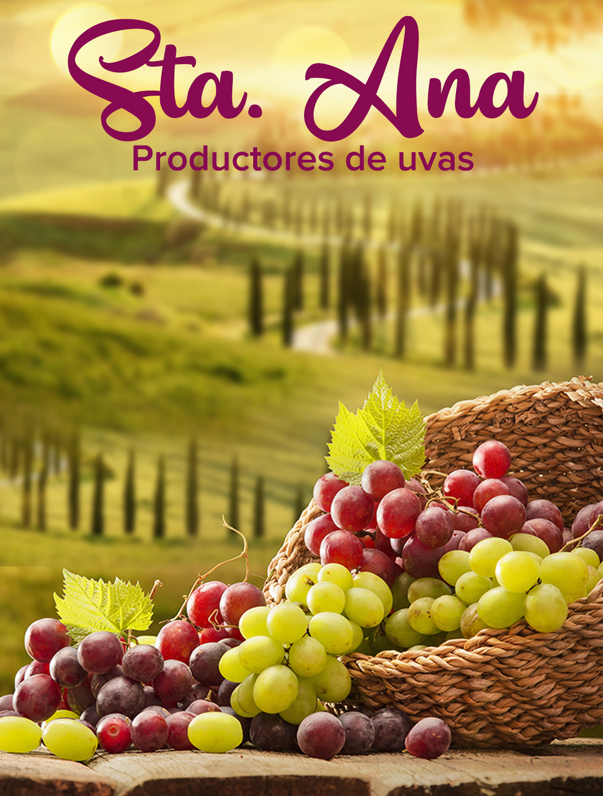 SUNKIST MEDIDA DE BANNERS