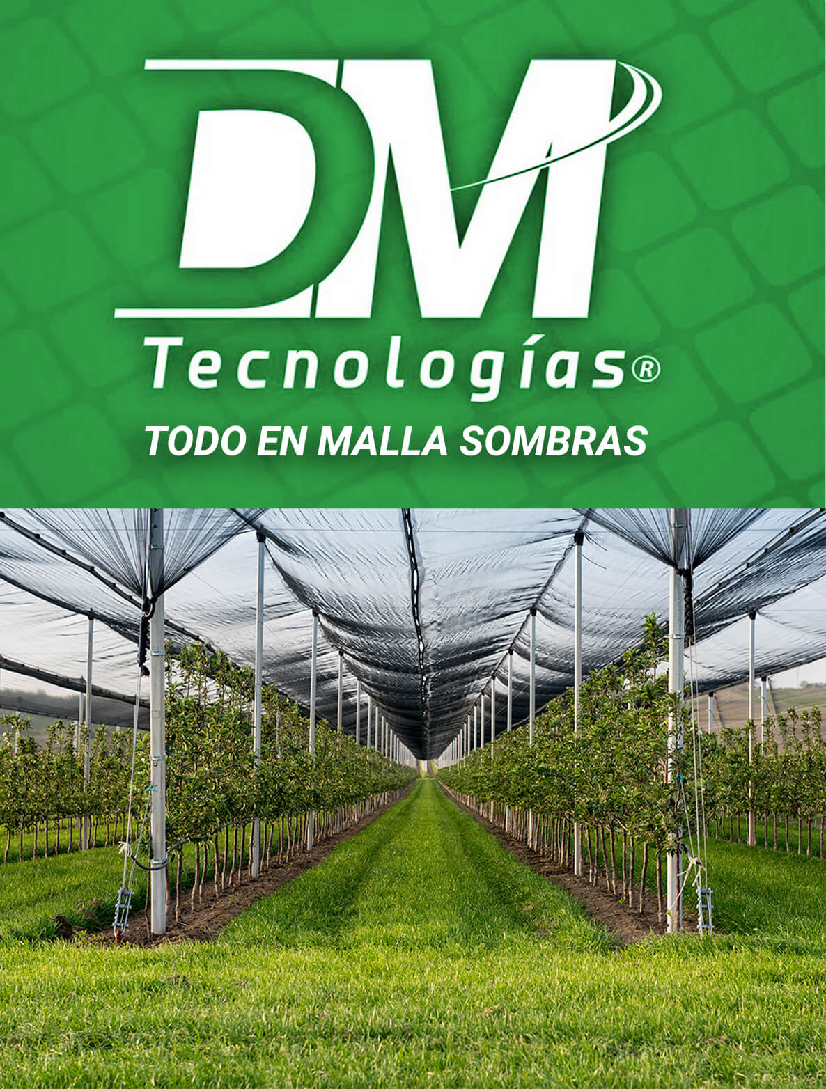 DM-MALLA-SOMBRAS-1