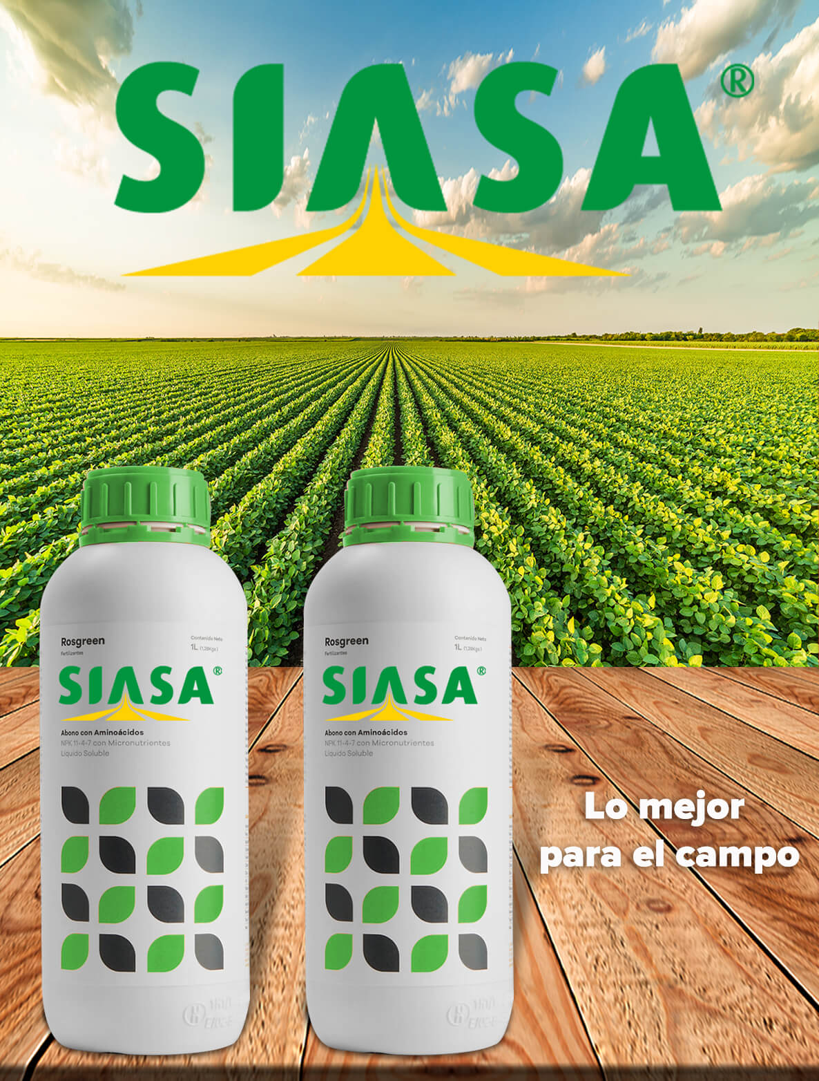 SIASA-copia