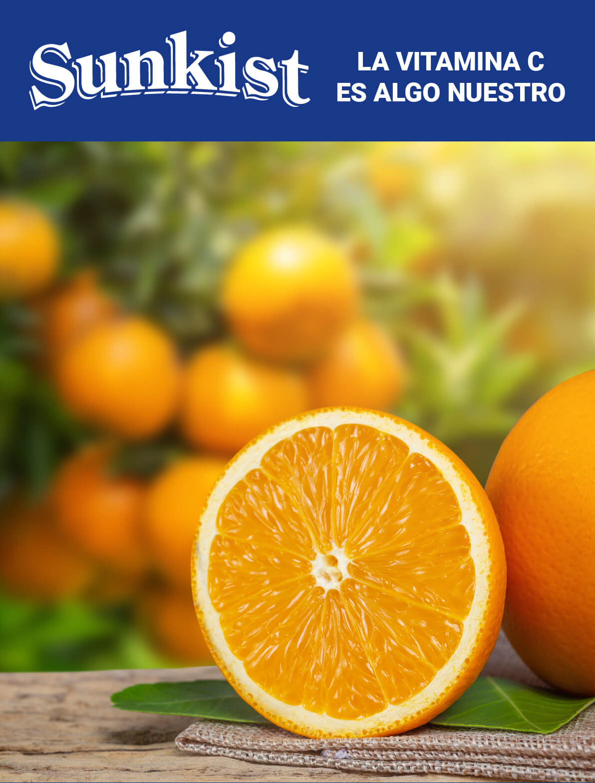 SUNKIST-MEDIDA-DE-BANNERS-02