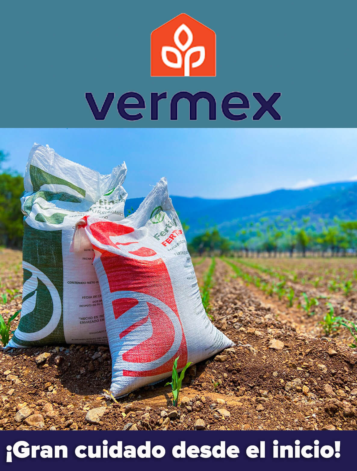 VERMEX-copia