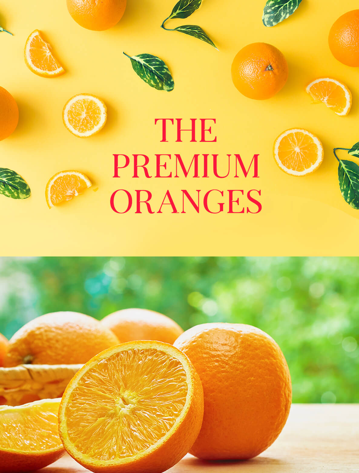 oranges